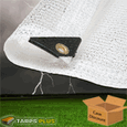 Clear Poly Tarpaulins
